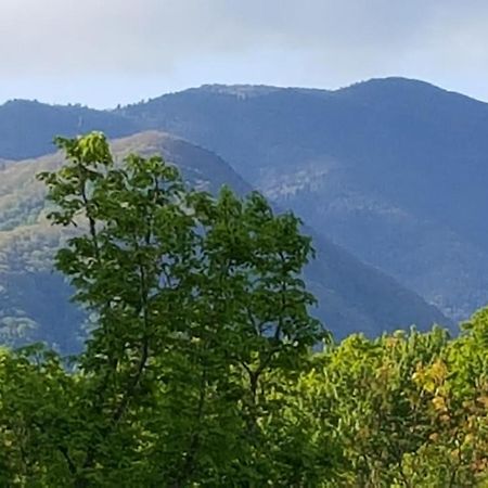 Mountain Serenity Gatlinburg Exteriör bild